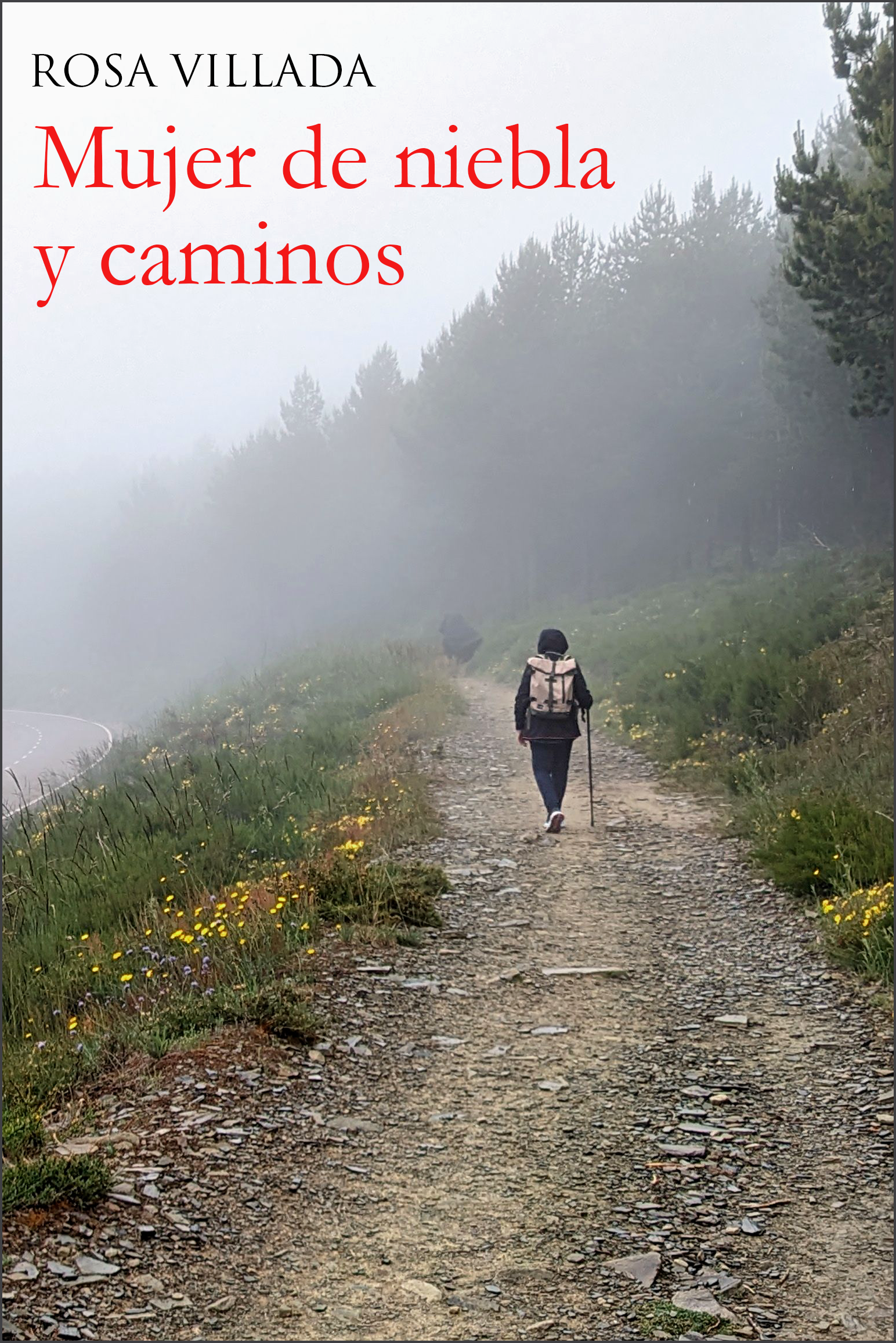 Portada mujer de niebla y caminos>
	 </div>
   <div class=