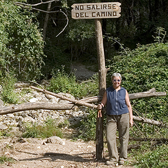 Camino